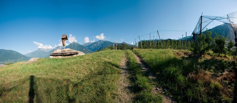 Panoramic view above the city of Merano / South Tyrol with cross between apple plantations and view of the opposite Texel Group