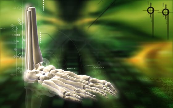 Digital illustration of Leg bone in colour background