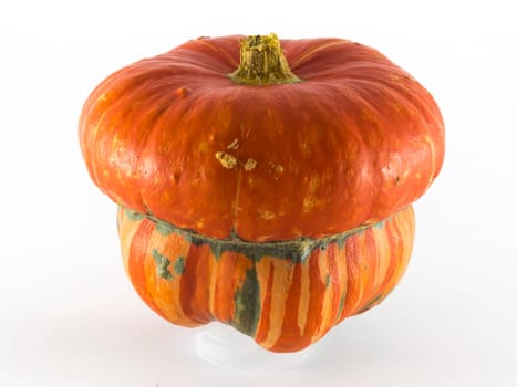 Single pumpkin on white background, symbol of autumn
