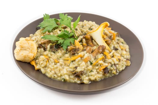 A plate of "risotto"" with mushrooms on white background"