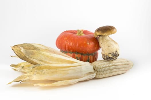Pumpkin, mushroom, corn on white background, fruits of autumn