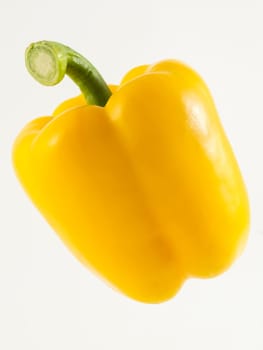 One pepper yellow on white background