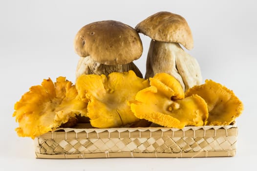 Mushrooms