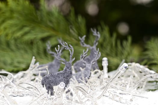 Christmas Arrangement