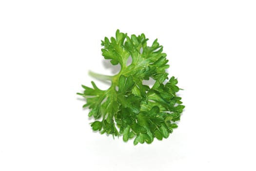 Parsley
