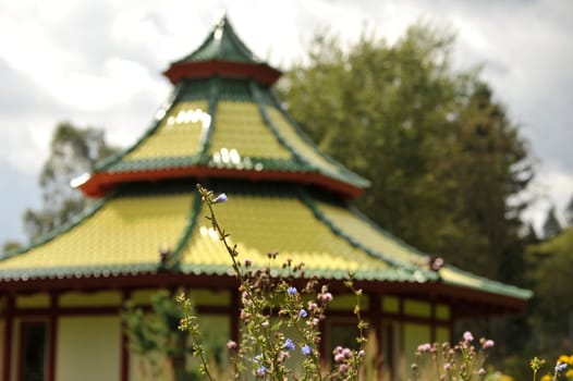 Herbal Park blooms and smells