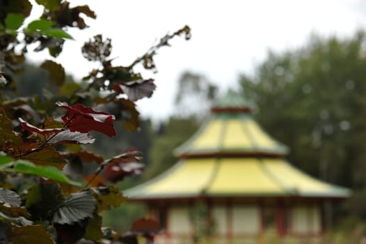 Herbal Park blooms and smells