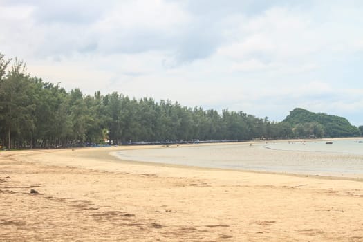 beautiful beach and tropical sea in summer