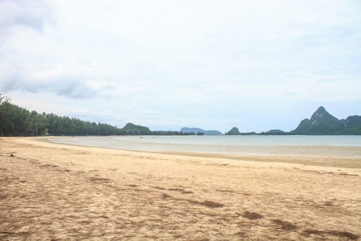 beautiful beach and tropical sea in summer