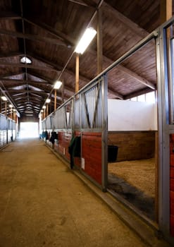 A saddle waits to be mounted on horses back at stables