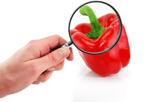 Fresh red paprika through the magnifying glass isolated on a white background
