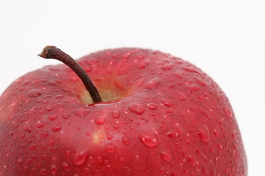 A close up of a red apple isolated on white, water drops on apple