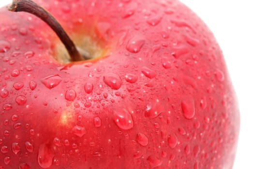 A close up of a red apple isolated on white, water drops on apple