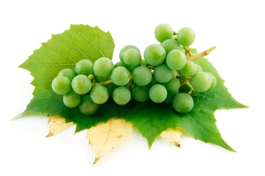 Bunch of Ripe Green Grapes with Leaf Isolated on White Background