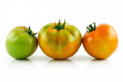 Ripe Wet Yellow Tomatoes in Raw Isolated on White Background