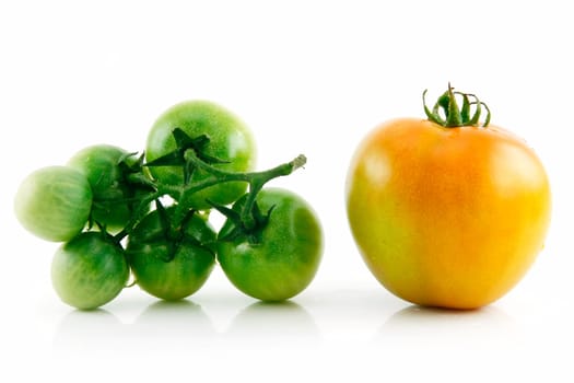 Ripe Wet Yellow and Green Tomatoes Isolated on White Background