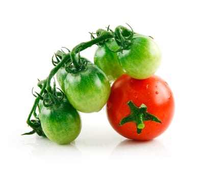 Ripe Wet Red and Green Tomatoes Isolated on White Background