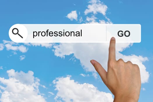 professional button on search toolbar