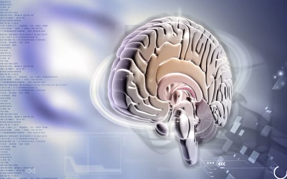 Digital illustration of brain in colour background