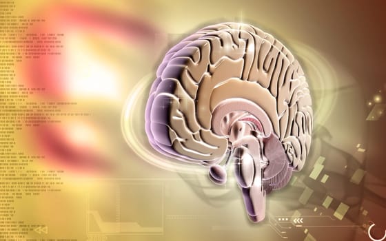 Digital illustration of brain in colour background
