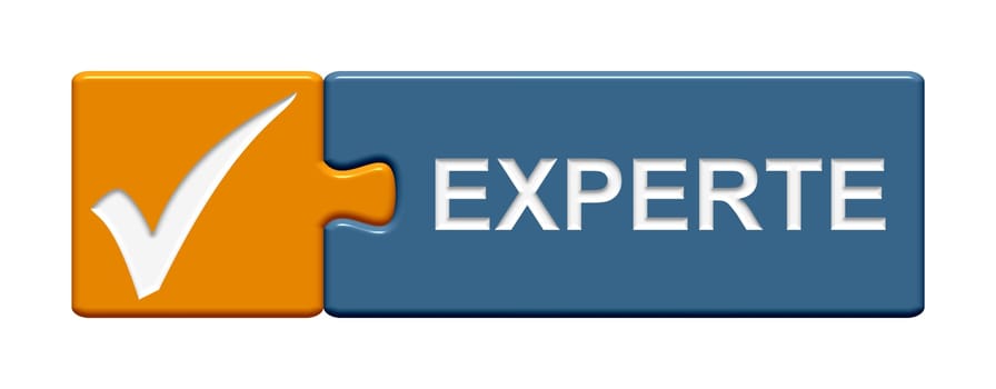Puzzle button orange blue: Expert