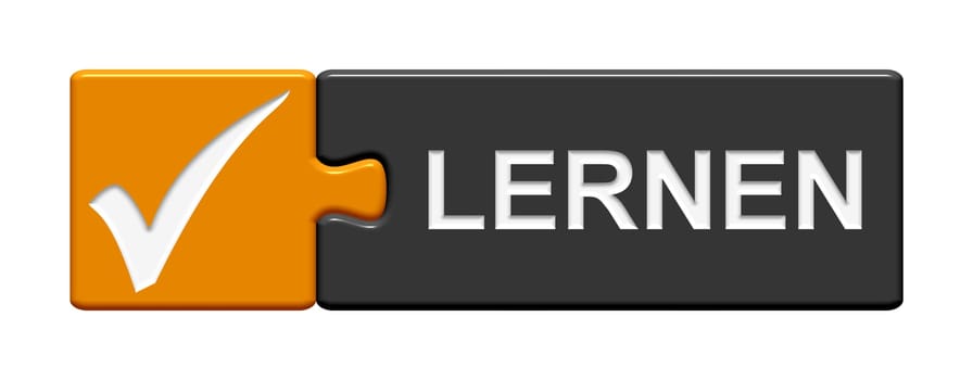 Puzzle button orange grey: Learn