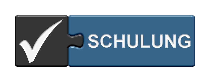 Puzzle button grey blue: Training