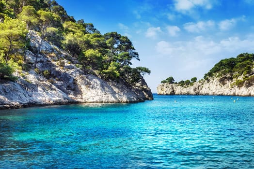 Calanques of Port Pin in Cassis in France near Marseille