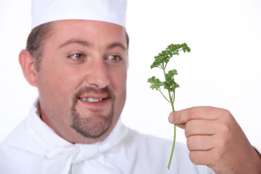 puffy male cook is holding a sprig of parsley