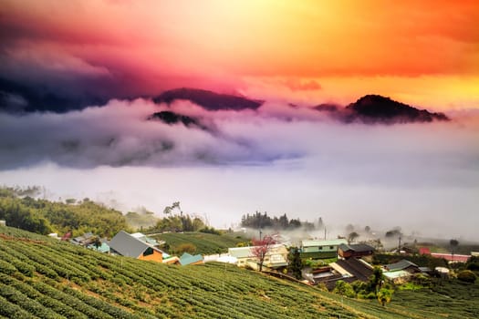 sunset in the mountains landscape for adv or others purpose use
