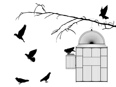 Bird cage silhouette over white background
