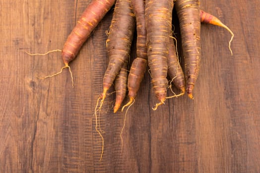 Healthy vegetables Urcarrots in orange and violet