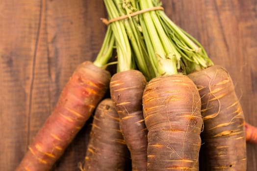 Close-up violet primordial carrots with green