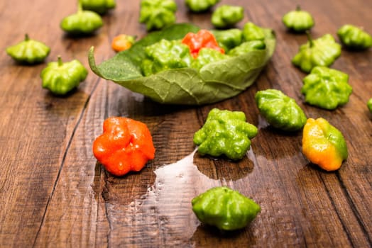 Water with red and green chili peppers with water