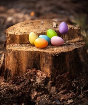Photo of colorful easter eggs lying on wooden stump