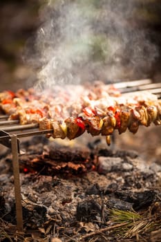 Closeup photo of meat kebab cooked on fire