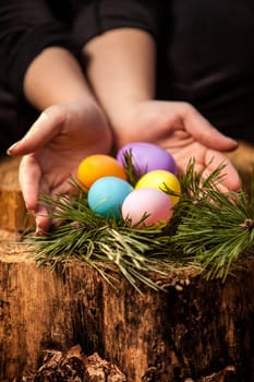 Closeup shot of woman protecting easter eggs in nest at forest