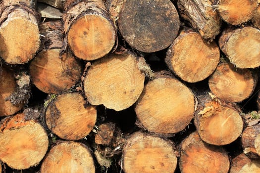 Firewood stack
