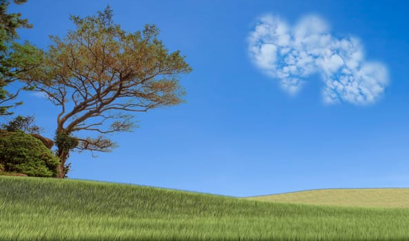 Picture of a a heart cloud on blue sky for adv or others purpose use