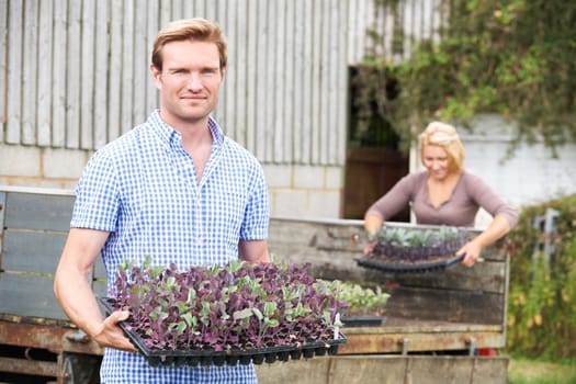 Couple Planting Seedlings On Organic Farm