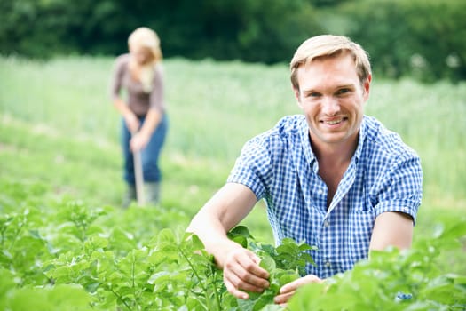 Couple Working In Field On Organic Farm