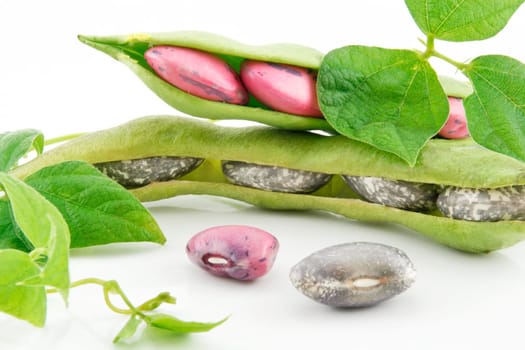 Ripe Haricot Beans with Seed and Leaves Isolated on White Background