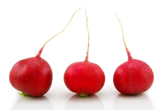 Ripe Red Radishes Isolated on White Background