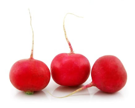 Ripe Red Radishes Isolated on White Background