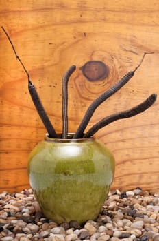 Still-life with green ceramic vase and seed pods