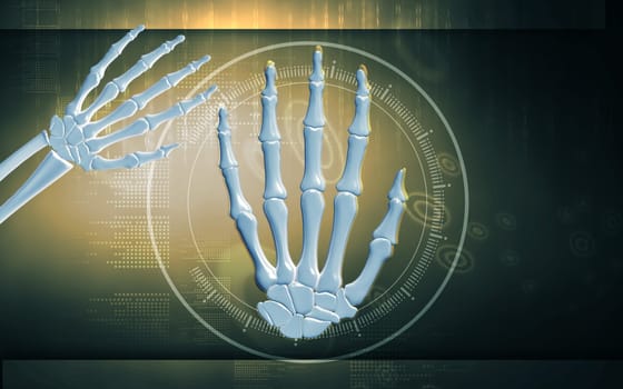 Digital illustration of hand bone in colour background