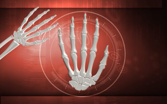Digital illustration of hand bone in colour background