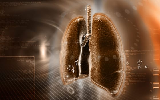 Digital illustration of human lungs in colour background