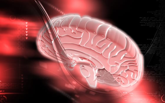 Digital illustration of brain in colour background