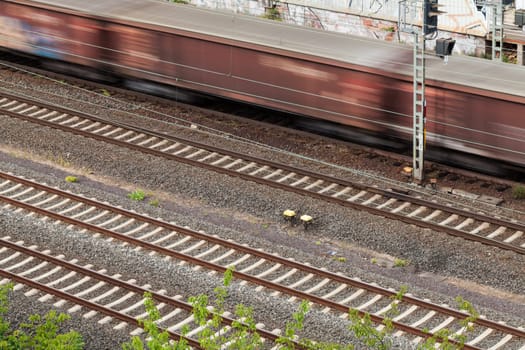 Train sbahn in motion on appeared outdoors in daylight